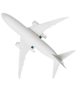 Flyroot